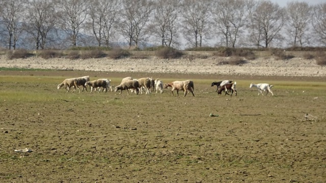 Durum kritik! Gölbaşı Gölü'nün yüzde 90'ı kurudu!