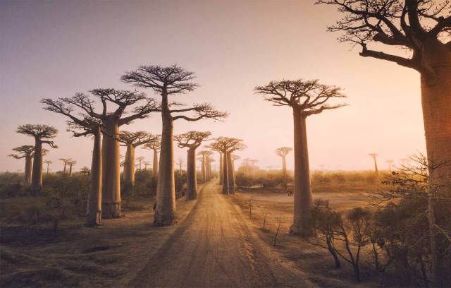 Gidilebilecek En Havalı 10 Ülke