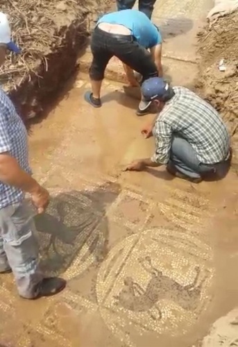 Tarlada buldular, 30 milyon dolara satmak isterken yakalandılar