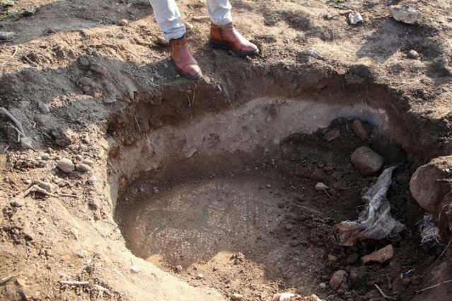 Tarlada buldular, 30 milyon dolara satmak isterken yakalandılar