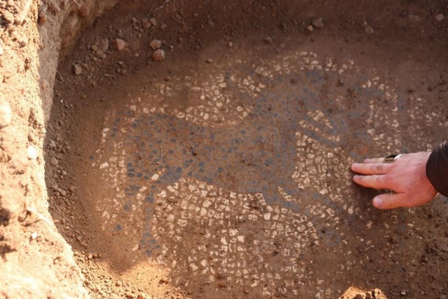 Tarlada buldular, 30 milyon dolara satmak isterken yakalandılar