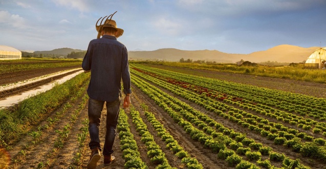 ÇKS başvuruları başladı