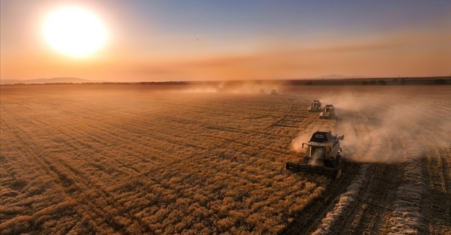 İşlenmeyen araziler kiralanacak