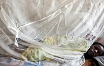 Nijerya'da Lassa ateşi