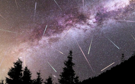 Mahdokht. (@seherbrn)