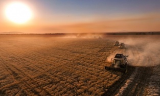 İşlenmeyen araziler kiralanacak