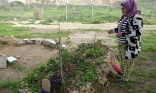 Babasının mezarını zulaya çevirdiler!