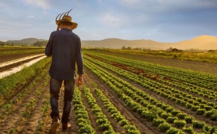 ÇKS başvuruları başladı