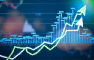 2019 yılının ekonomi karnesi