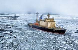 Antartika’da rekor sıcaklık