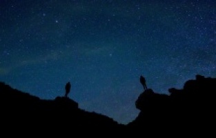 Büyük Evrendeki Yerimizi Anlamak