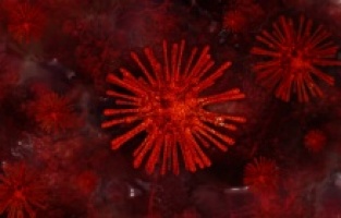 Çin'deki dev şirketler fabrika kapatıyor