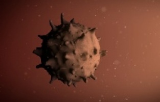 Koronavirüs belirti takvimi