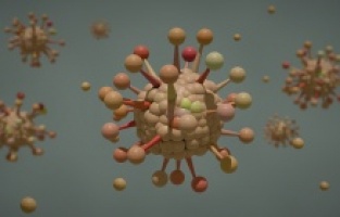 Koronavirüs belirtileri nelerdir?