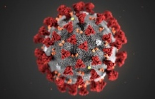 Koronavirüs insan yapımı mı?
