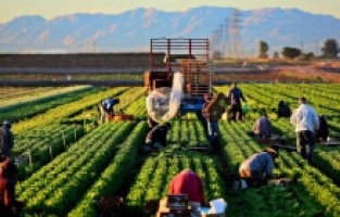 Gençler Tarımsal Üretimde Sahaya İnmeli