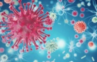 ABD’de veba vakası görüldü