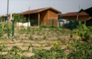 Tarım arazisini hobi bahçesine çevirene hapis cezası