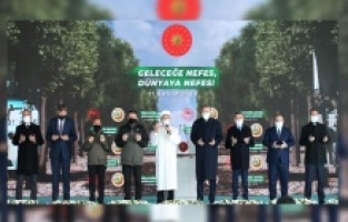 'Bugün Fidan, Yarın Nefes': 11 milyon fidan dikildi