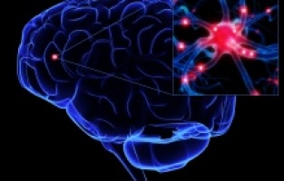 “Açlık” Nöronları Depresyon Tedavisinde Yeni Hedefler Gösteriyor