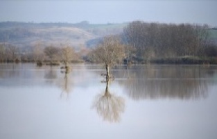 Ergene Nehri Taştı