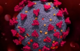 Mutant virüsün yayılımı çok hızlı