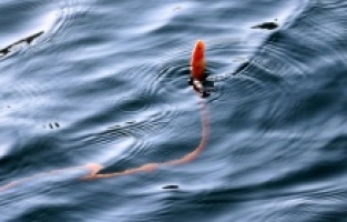 Türkiye'de ilk kez görüntülendi