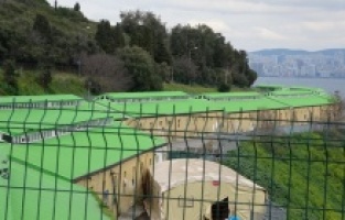 Adalar’da 100’e yakın at ahıra hapsedildi