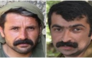 Sözde Mardin sorumlusu etkisiz hale getirildi