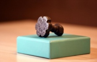 Tarlada bulunan 3500 yıllık Hitit mührü