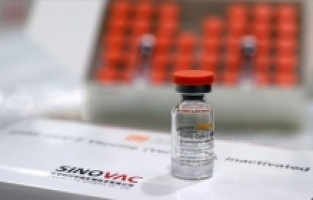 Sinovac’tan flaş Türkiye kararı!