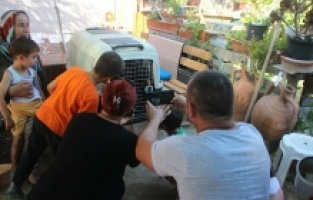 Mahalleyi ayağa kaldırdı: Gören şaştı kaldı