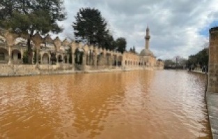 Balıklıgöl'ün suyunun rengi değişti