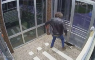 Kedi düşmanının ifadesi "Pes" dedirtti