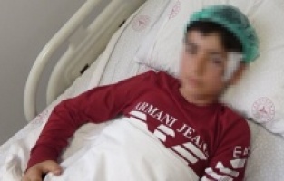 Pitbull saldırısında yaralandı