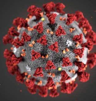 Koronavirüs insan yapımı mı?