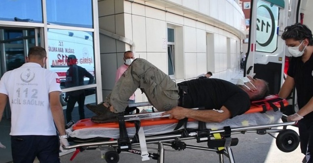 3 bin 40 acemi kasap hastanelik oldu