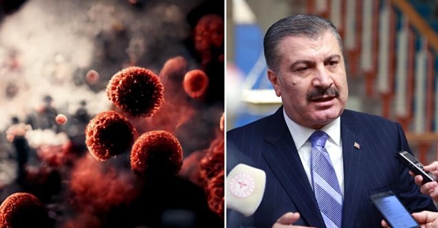 Bakan Koca açıkladı