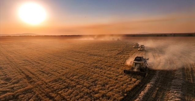 İşlenmeyen araziler kiralanacak